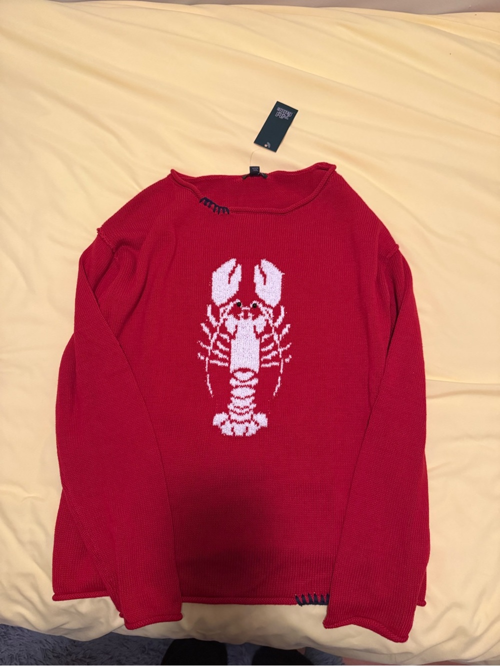 wild fable Red Crewneck Sweater with White Lobster Graphic - women